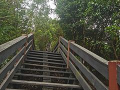 -水濂山森林公园