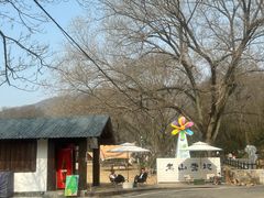 -南京老山国家森林公园