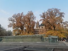 -北京石刻艺术博物馆(五塔寺)