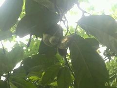 -百威KTV(恒福路店)