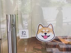 -柴务处·柴犬主题狗咖