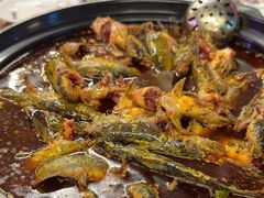 -金海椒罐罐鲢鱼(东方桂苑店)