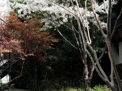 -广富林宰相府酒店·水云间