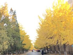 -辽宁大学(崇山校区)