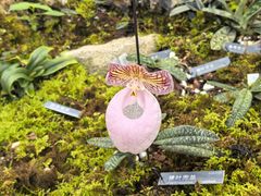 -国家植物园南园