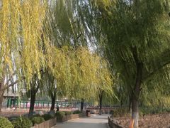 -莲花池公园