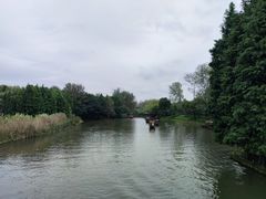 -溱湖国家湿地公园