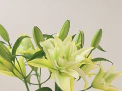 -华润置地大厦E座