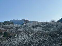 -广州市流溪河国家森林公园