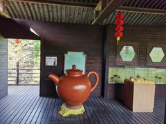 -大唐贡茶院
