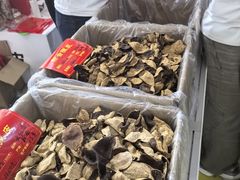 -中国农业博物馆