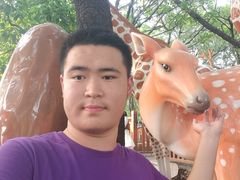 -晓港公园