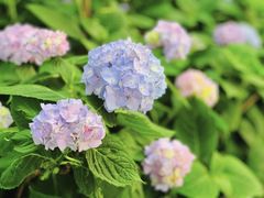 -常州古运河南大街文化旅游区-人民公园