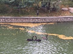 -钓鱼台国宾馆