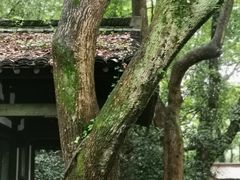 -兰亭风景区