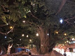 -杭州开元森泊度假乐园