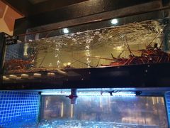 -丰鲤楼•闽南茶楼(仟禧汇店)