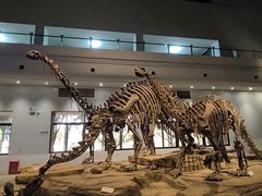 -自贡恐龙博物馆
