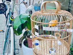 -Egg•Allday Brunch(襄阳北路店)
