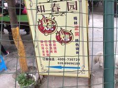 -豪客来牛排(府河店)