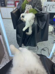 -FINE HAIR造型沙龙