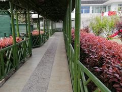 -皓晶庄园