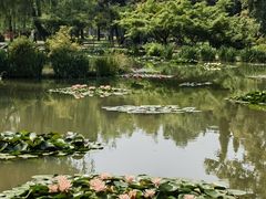 -洛阳市隋唐城遗址植物园