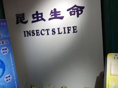 -上海昆虫博物馆