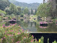-深圳仙湖植物园