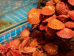 -焰江山海鲜牛排烤肉自助(锦华万达二星店)