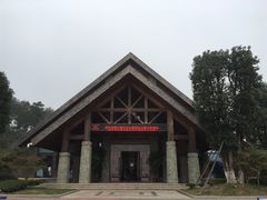 -铁山坪森林公园