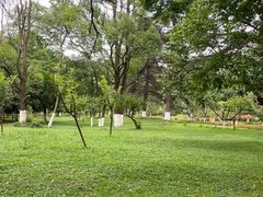 -花溪公园