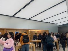 -Apple 零售店(Canton Road)