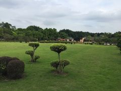 -广东圆玄道观