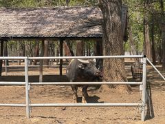-秦皇岛野生动物园