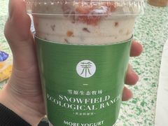 -茉酸奶(无锡高铁站店)