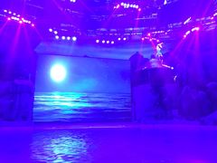 -芜湖新华联大白鲸海洋公园