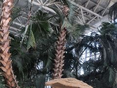 -中家鑫园温泉酒店鑫悦汤泉