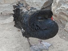 -北京市海淀外国语实验学校