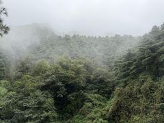 -苍山感通索道