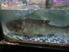 -森谷美食公园(杨行店)