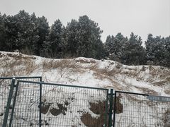 -秦始皇帝陵博物院-丽山园