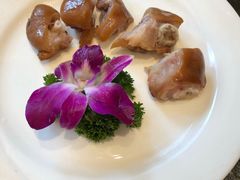 -东哥紫阳蒸盆子(旺座·现代城店)