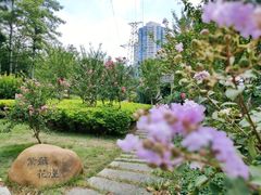 -晓港公园