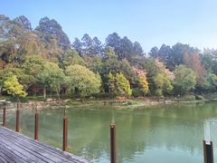 -和顺柏联温泉