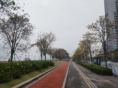 -洲头咀公园