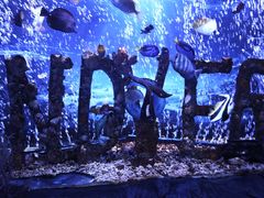 -太平洋海底世界