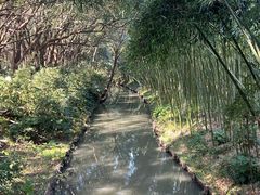 -同里国家湿地公园