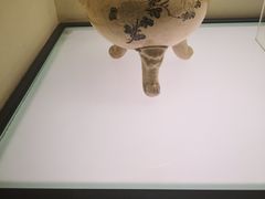 -磁州窑博物馆