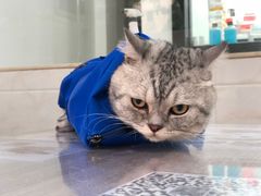 -荔康动物医院(康王北路店)